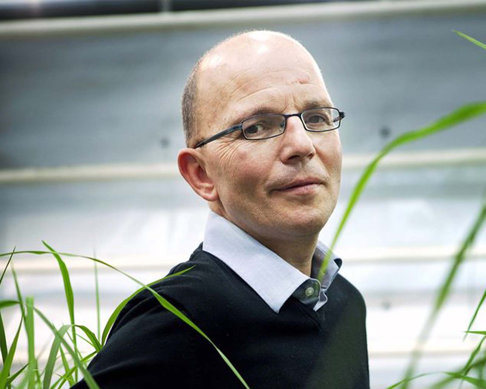 Johan Cardoen - 