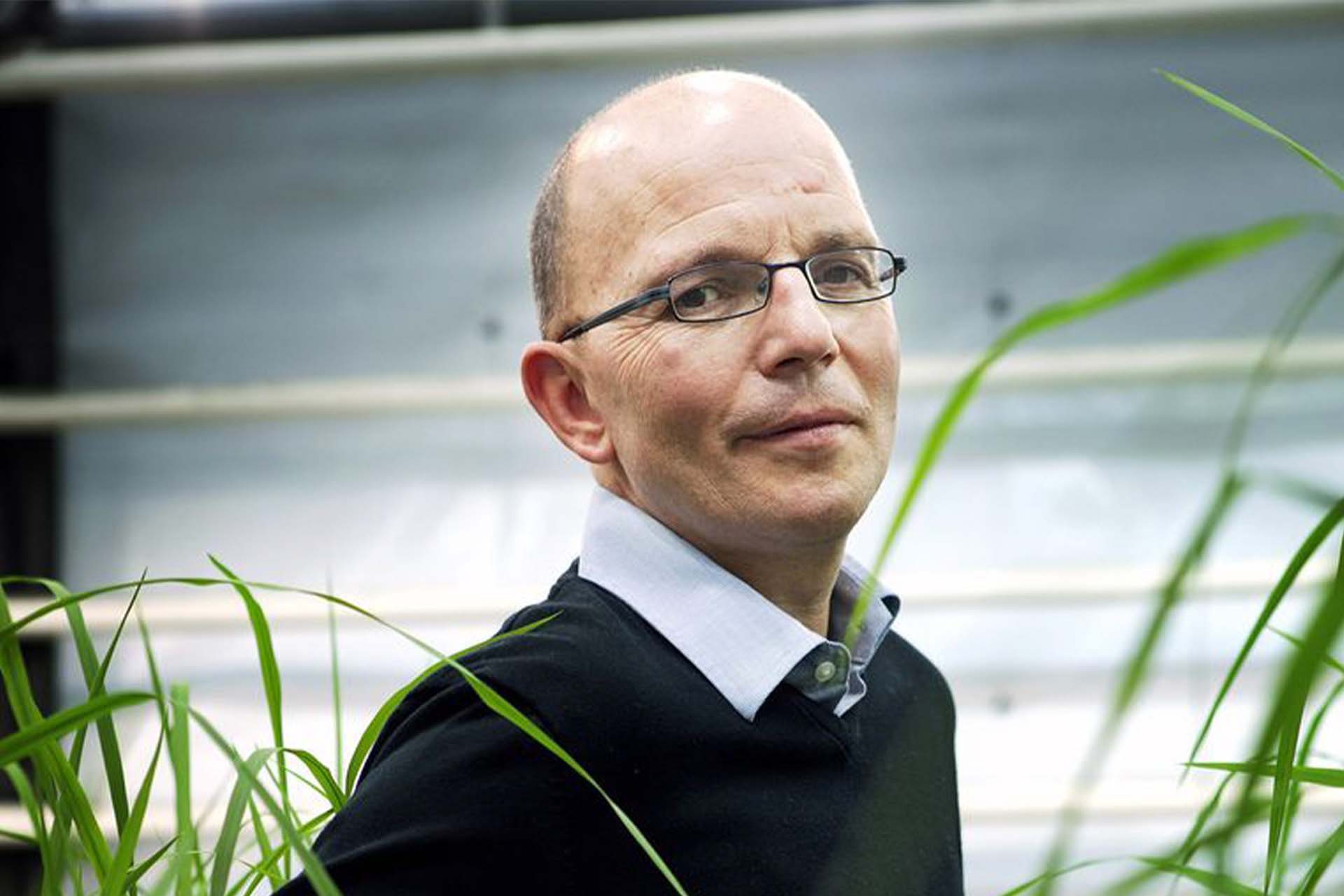 Johan Cardoen - 